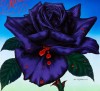 06a.BLACK ROSE.1979.A2.A detail 3 06a.BLACK ROSE.1979.A2.A detail 3