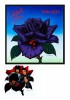 06a.BLACK ROSE.1979.A2.A full