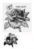 TL13.BLACK ROSE PENCIL.A4@72