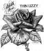 black rose pencil.1979.final Red